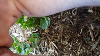 FTM Squatting Pee Outside On Plants