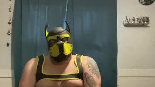 Pup plays with self