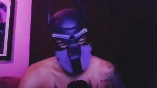 Alpha ASMR master pup