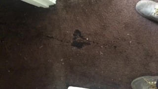 Carpet Pissing Sundays!