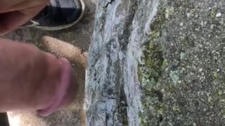 Pissing my pants in public 