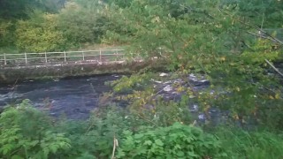 pissing into bin in the park