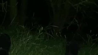 Outdoor Steamy Self-Pissing in Field