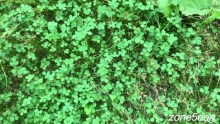 I went for a walk in the woods, and got lucky twice!