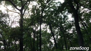 I went for a walk in the woods, and got lucky twice!