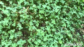 I went for a walk in the woods, and got lucky twice!