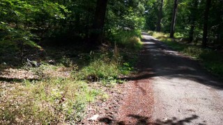 Nackte Muschi auspeitschen direkt am Waldweg