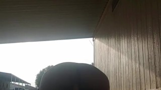 Public masterbation on my driveway caught as cars drive by 