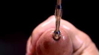 Sounding Penis-Plug XXXL Close Up Beautiful Creature