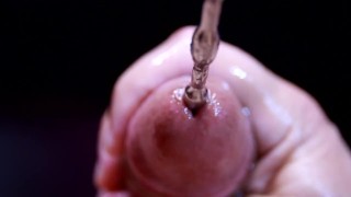 Sounding Penis Plug CUM-SHOT XXXL up Close - CKing