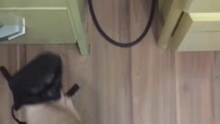 @tici_feet IG ticii_feet tici feet dangling black high heels (preview) shoeplaying