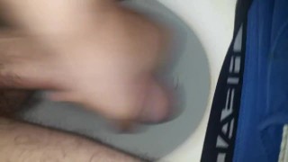 Beautiful hairy dick