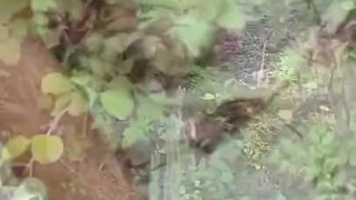 Pinay Gets Horny in the Park and Wants to Have Sex