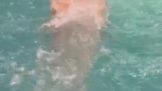 Dolphin Swim Booty View Swimming