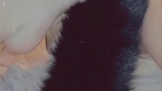 Tail play