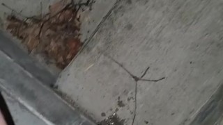 Quick Pee Outside 