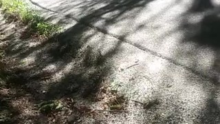 Outdoor jerking and cum on public street