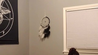 Getting fucked doggy style by fuck machine