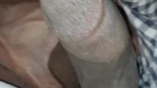 Pulled my Cock out