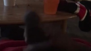 Stroking black dick till nut