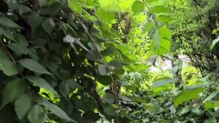masturbating next to the public road, very risky