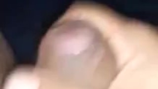 Pajas venidas 2