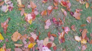 Barefoot Gypsy Dolores - 4 Seasons: Autumn