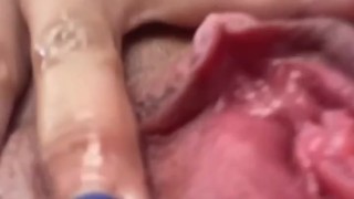 Un regalo para ustedes, gracias por suscribirse.