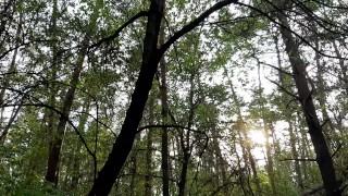 Вышла на прогулку в лес и увидела, как пара лесби трахается. Сняла их на 