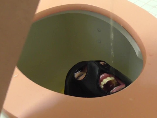 Mistress Amrita Piss in Toilet Box of Slave 