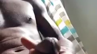 Early morning nut