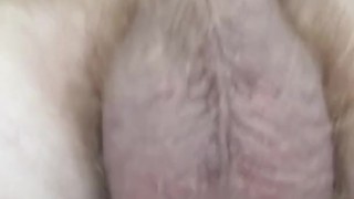 Giant Dick Bodybuilder Jerks It and Flexes. Hot Precumming Musclebear Big Cock & Huge Balls Alpha