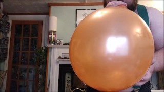 belly bell pop