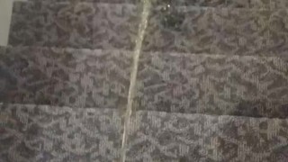 Quick public piss on the stairs