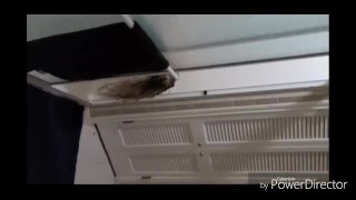 He caught me playing with my pussy so I let him watch