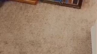 Giantess Annihilates Men