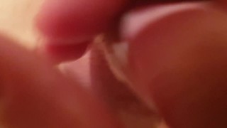 cuckold hubby denied