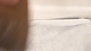 Hmong vs toilet roll
