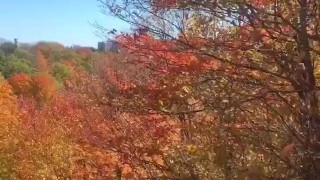 秋天的浪漫