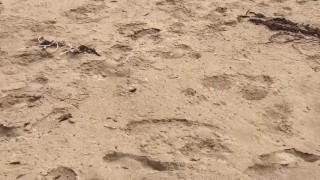 recording me tanning at the beach and I took his camera 