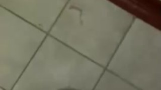 my uncut cock cumming in public bathroom