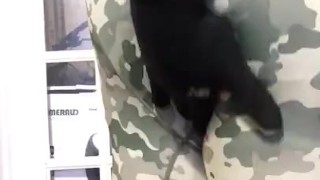 Humping and spanking on camouflage spandex leggings