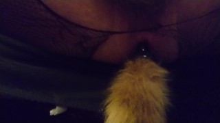 foxtail