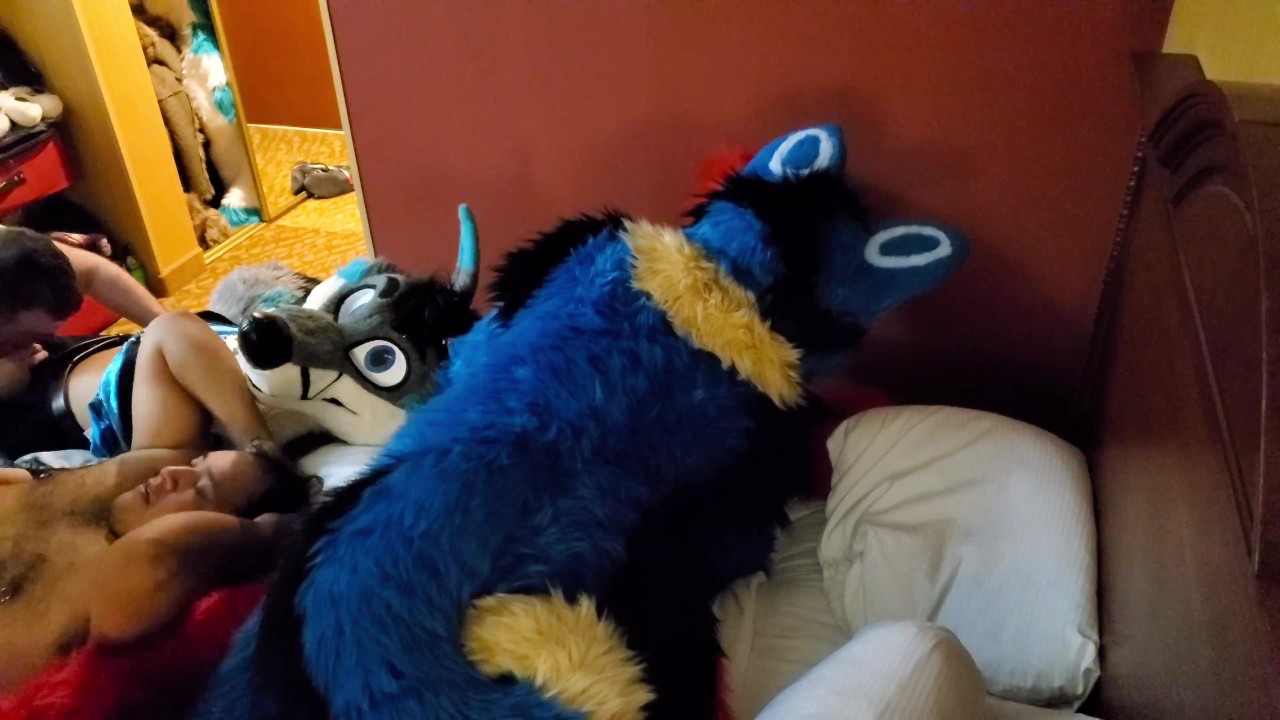 Fursuit mating: Where fantasy meets reality