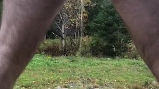 Windy October Public Piss
