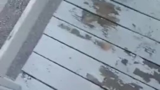 Daddy wanted to Cum outside