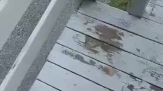 Daddy wanted to Cum outside