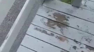 Daddy wanted to Cum outside