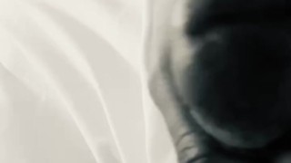BBC Stroking for Pleasure