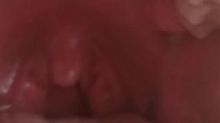 Gummy bears vore giantess Debora